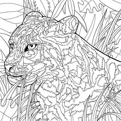 Leopard in the Jungle