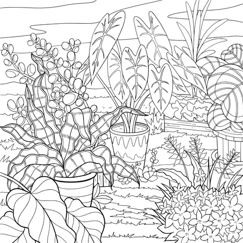 Colorful Plant Garden