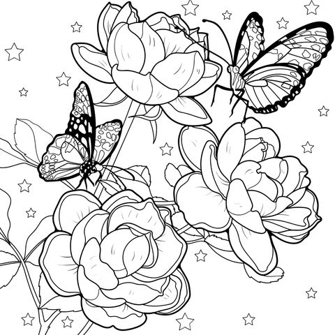 Flores e Borboletas