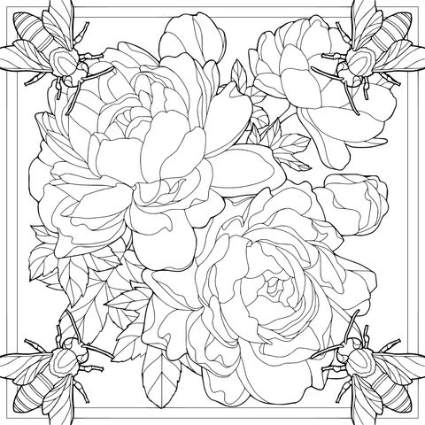 蜜蜂与花卉