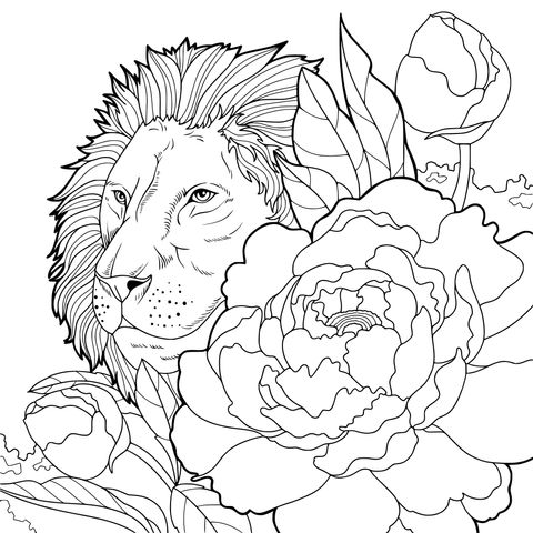 狮子与芍药