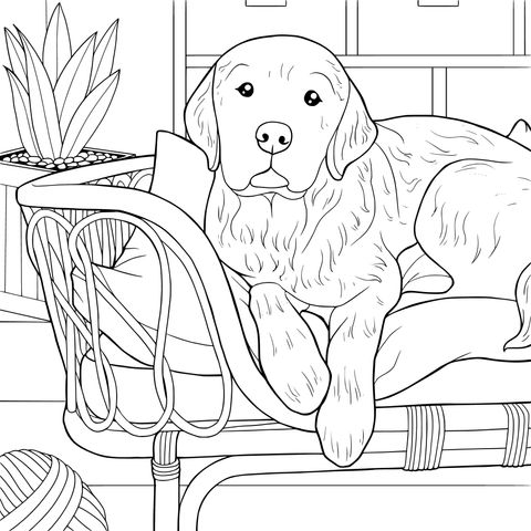 躺在舒适垫子上的金毛犬