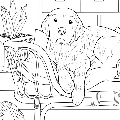 Golden Retriever Lying on a Comfortable Cushion