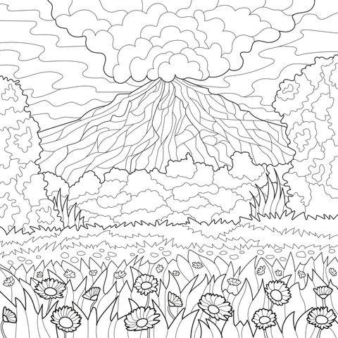 繁花绿野间的火山