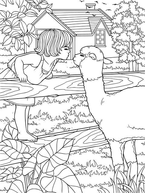 A girl's affectionate moment with an alpaca