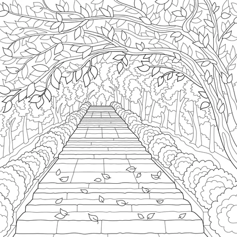 Autumn Path