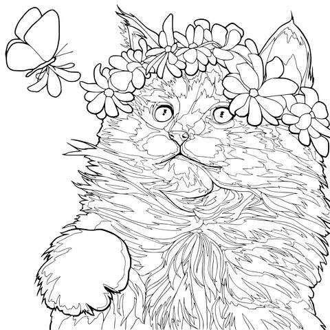 戴花环的可爱猫咪