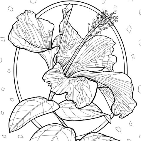 艳丽木槿花