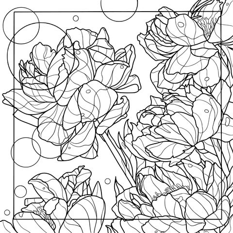 绚丽多姿的花卉插画