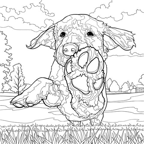 爪を伸ばす犬