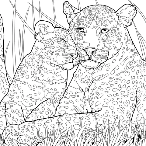 Tender Moment between a Mother Leopard and Her Cub