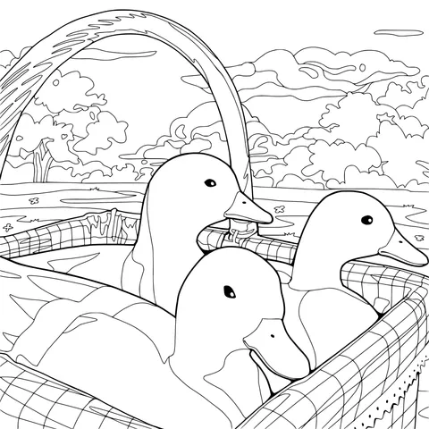 Ducks in the Basket