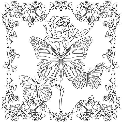 玫瑰与蝴蝶插画
