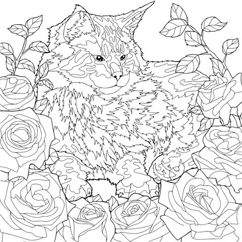 花丛中的猫咪