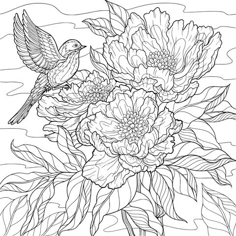 飞鸟与繁花