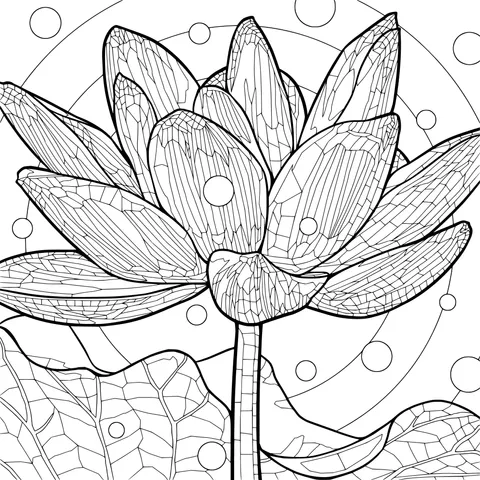 Gorgeous Red Lotus