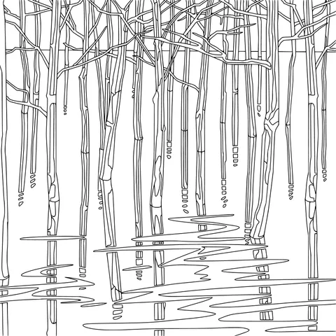 Forest in the Water