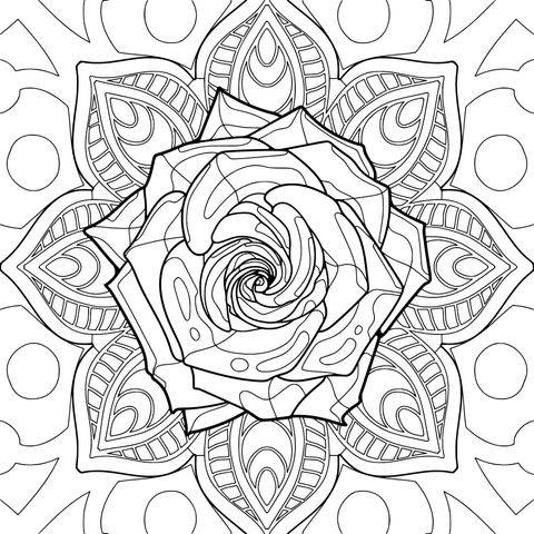曼德拉花卉