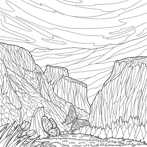 山间蝶舞美景