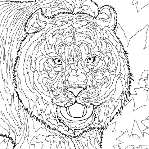 A Majestic Tiger