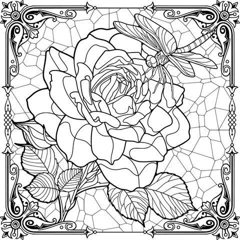 蜻蜓与橙玫瑰