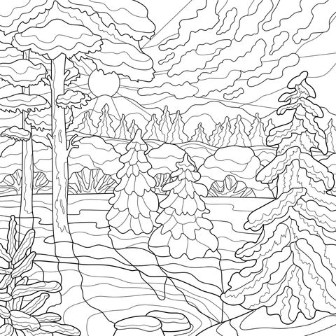 冬の山の森の風景