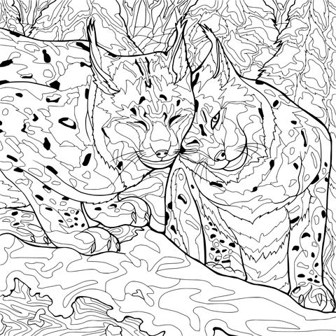 依偎的猞猁