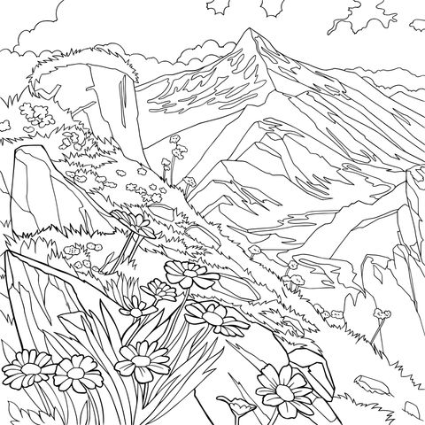 Florestas e Montanhas no Vale