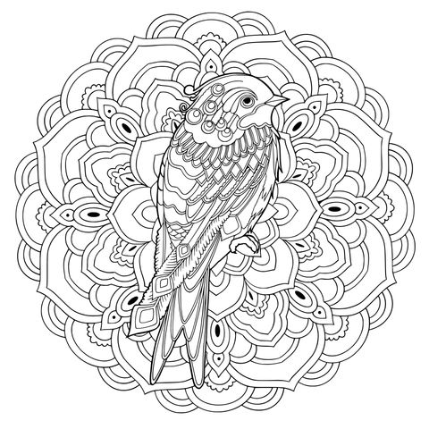 Pássaro Colorido no Padrão Mandala
