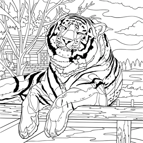 Resting Tiger
