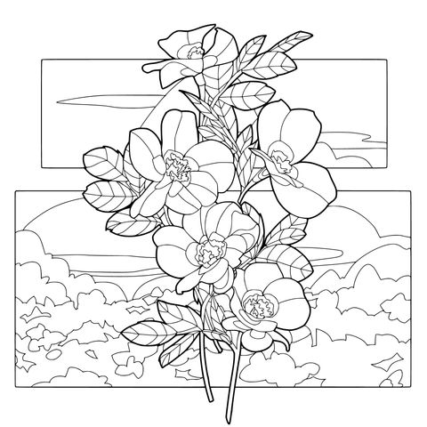 田野间的黄花朵