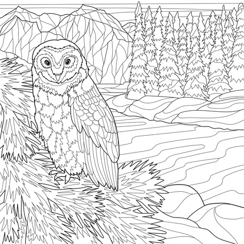 Owl on a Pine Tree