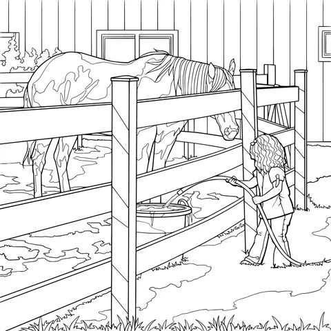 Woman washing a horse inside a fence