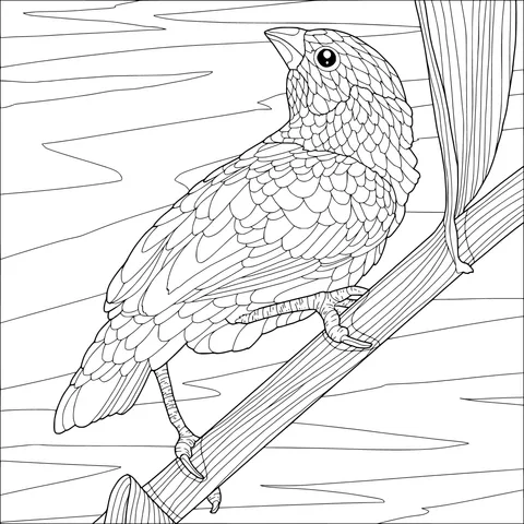 Colorful bird perched on a branch