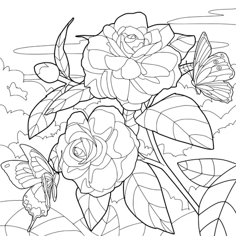 Roses and Butterflies