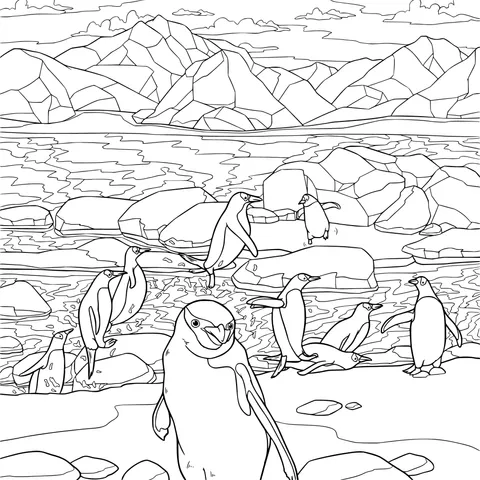 Penguin Group on the Ice - field