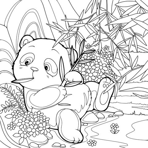 熊猫惬意吃竹子