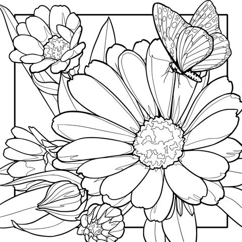 蝶恋花