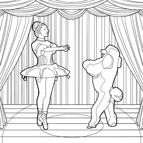 Animal - training performance in the circus