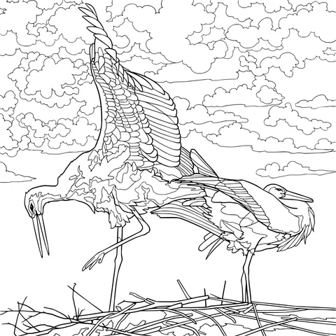 Storks under the Sky