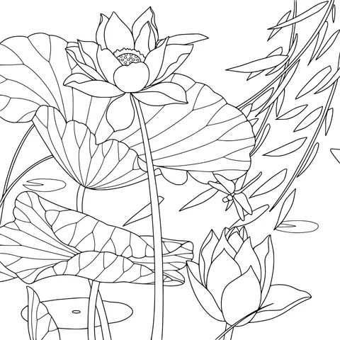 Lotus and Dragonfly