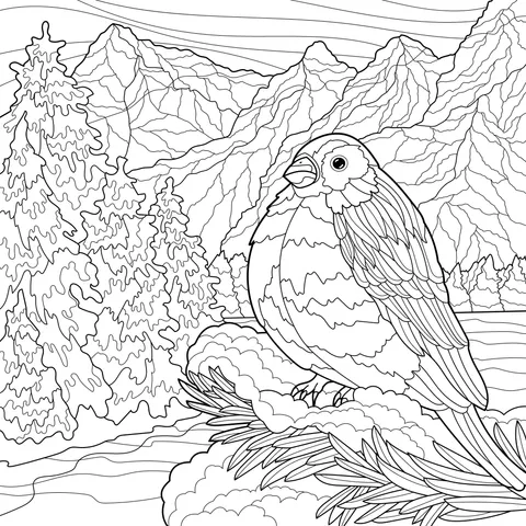 Colorful Bird in the Mountain Forest