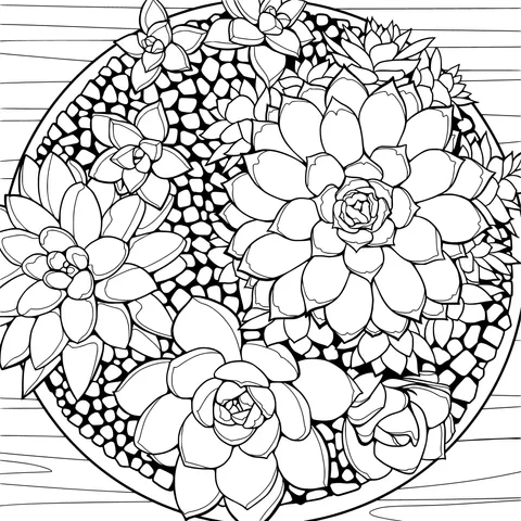 Succulent Plant Pot