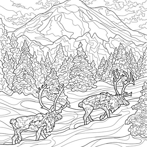 Renes en el Bosque de Montaña Cubierto de Nieve
