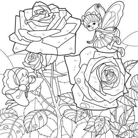 Roses and Flower Fairies
