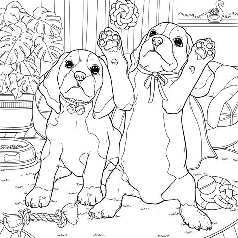 Dois adoráveis filhotes brincando