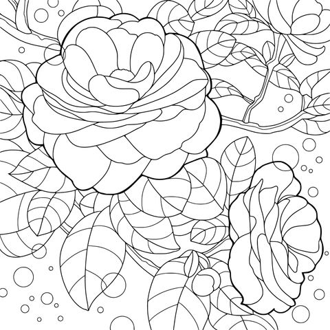 绚丽多彩的花卉插画