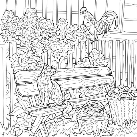 Gato e Galo no Jardim