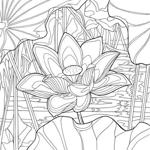 Blooming Lotus Flower