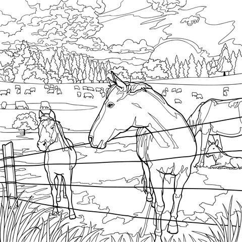 Horses on the Ranch